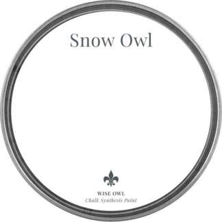 WO Chalk Synthesis Paint -Snow Owl-
