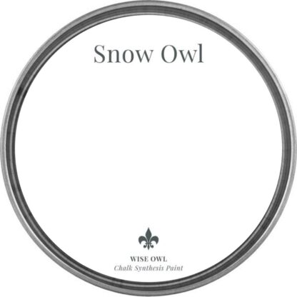 WO Chalk Synthesis Paint -Snow Owl-