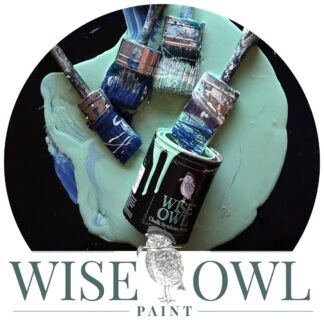 Wise Owl Paint