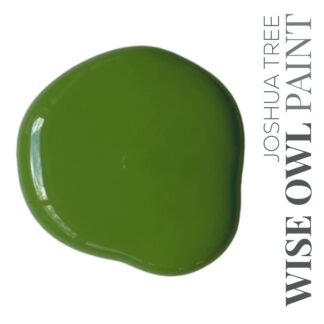 WO Chalk Synthesis Paint -Joshua Tree-